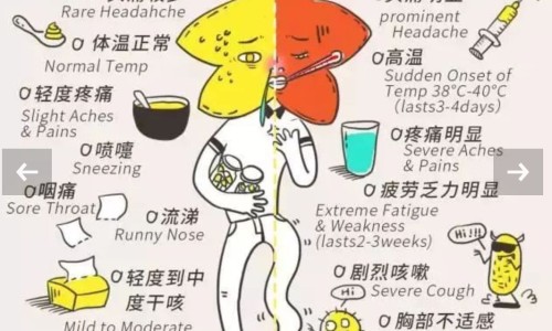 跑步出汗对感冒有好处吗-跑步出汗招风感冒怎么-专业跑步感冒了是风寒还是风热平台-被诈骗报案材料怎么写样本